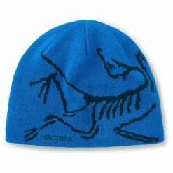 Rabatt 👏 Herre ArcTeryx Bird Head Toque (Fluidity/Labyrinth) 🧨