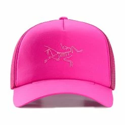 Billigst 😍 Herre ArcTeryx Bird Trucker Curved (Synth) ✔️